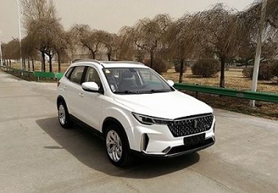 2019 Benteng T33 1.6L Manual automatic transmission Two wheel drive interconnected intelligent enjoyment type National VI