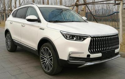 2020 Leopaard Mattu 1.6T Dual clutch GDI two wheel drive elite model