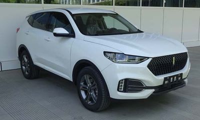 2018 WEY VV6 2.0T Dual clutch Four wheel drive flagship model National V