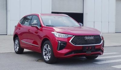 2021 Haval Red Rabbit 1.5T Dual clutch Platinum Rabbit