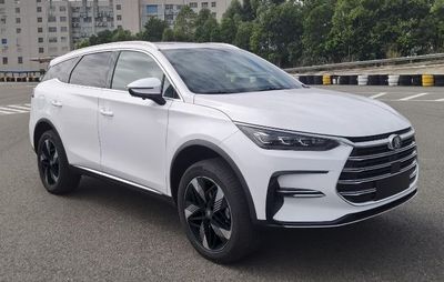 2023 BYD Tang New Energy DM-i 1.5T E-CVT Two wheel drive champion version 112KM premium model