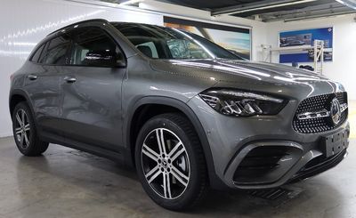 2024 Mercedes-benz GLA220 2.0T Dual clutch 4WD 