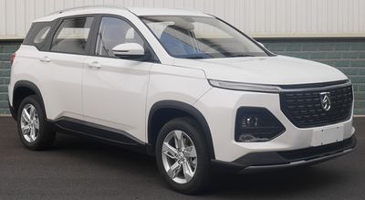 2021 Baojun 530 1.5T CVT Two wheel drive 5-seater global car anniversary edition