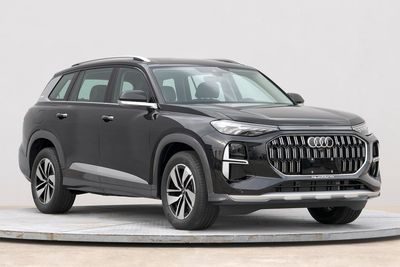 2024 Audi Q6 40 TFSI Quattro 2.0T Dual clutch four-wheel drive 7-seater cloud observation type feather forest set