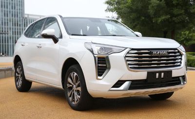 2021 Haval First Love 1.5T Manual Two wheel drive second edition