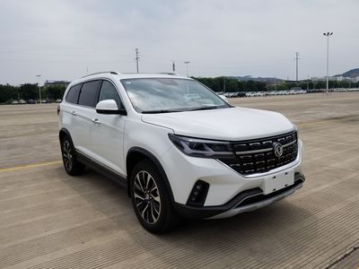 2020 Dongfeng Fengxing Fengxing T5L 1.8T Manual Two wheel drive 7-seat comfort model