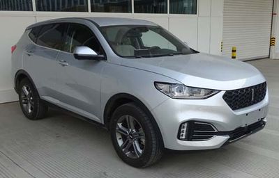 2018 WEY VV6 2.0T Dual clutch Two wheel drive luxury National V