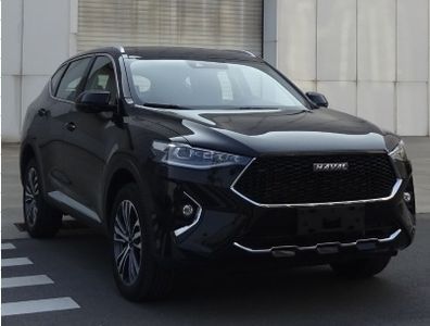 2019 Haval F7 1.5T Dual clutch Two wheel drive I-type National VI