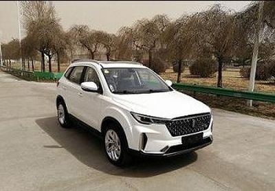 2019 Benteng T33 1.6L Manual Two wheel drive Comfort National V