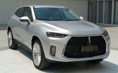 2018 WEY P8 2.0T Dual clutch Four wheel drive luxury model