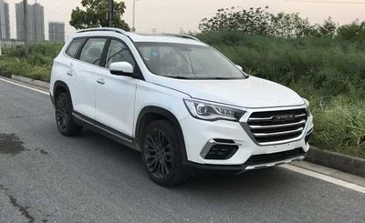 2019 JETOUR X90 1.6T Dual clutch Two wheel drive 6-seater Yaolv version National VI