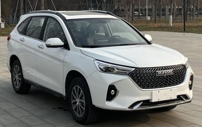 2023 Haval M6 PLUS 1.5T Manual Two wheel drive luxury smart connected model