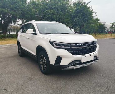 2023 Dongfeng Fengxing Fengxing T5 1.6L Manual Two wheel drive 5-seater Dream Chasing Edition