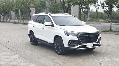 2020 JETOUR X95 1.5T Manual Two wheel drive 5-seater Discovery version