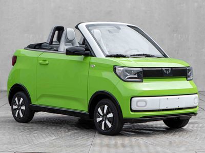 2022 Wuling Hongguang MINI EV electric Electric vehicle single speed gearbox Convertible