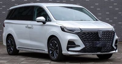 2021 Roewe iMAX8 2.0T Manual automatic transmission 400TGI Flagship Edition