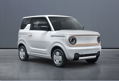 2024 Geely Panda Mini electric Electric vehicle single speed gearbox 200km 耐力熊 TZ160XJ01