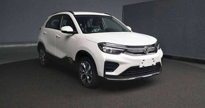 2020 Dongfeng Fengshen AX4 1.0T Manual 200T two wheel drive luxury model