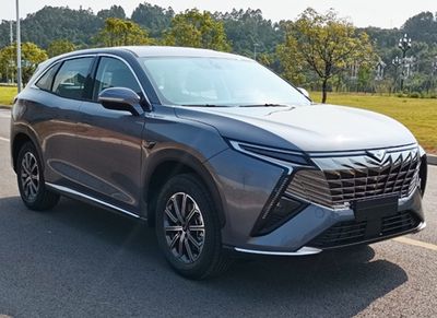 2023 Cowin Kunlun 1.6T Dual clutch Two wheel drive Kunlun 300 Starry Sky Exclusive Edition