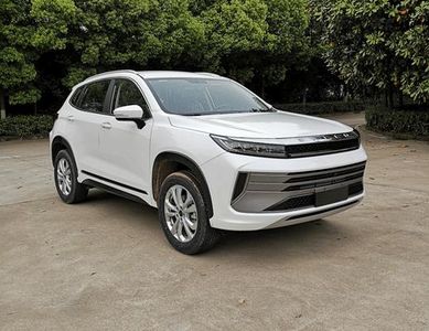 2022 EXEED Chase Wind 1.6T Dual clutch Two wheel drive Versailles version Yufengxing version