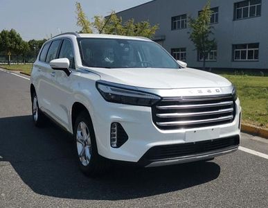 2021 EXEED Ran Yue 1.6T Dual clutch 290T Starlight Edition