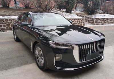 2020 Hongqi H9 2.0T Dual clutch Zhilian Qiyue Edition