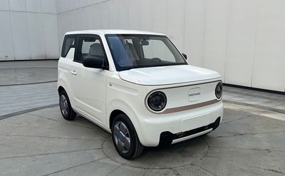 2024 Geely Panda Mini electric Electric vehicle single speed gearbox 200km 龙腾版 TZ155X030