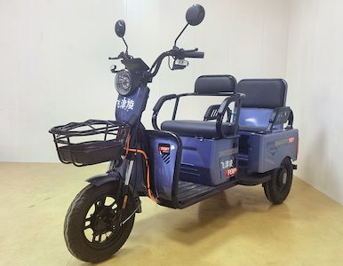 Feijin Ling  FL1200DZK2 Electric tricycle