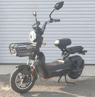 Europa  OP500DQTG Electric two wheeled light motorcycle