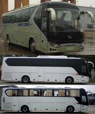 Jinlong  XMQ6115AYD5D coach