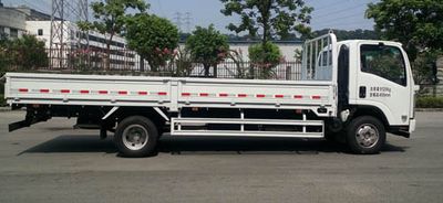 Isuzu  QL10909MAR Truck