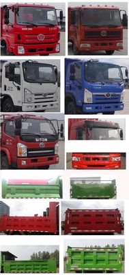 Shitong  STQ3041L2Y1N5 Dump truck