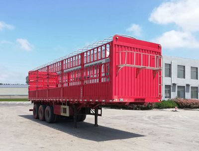 Baoshente  BST9375CCY Gantry transport semi-trailer