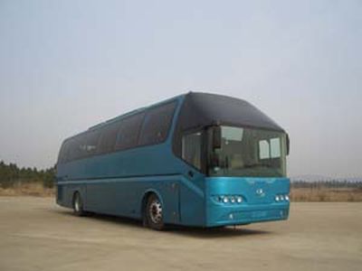 Shenye ZJZ6123PGYLuxury coach