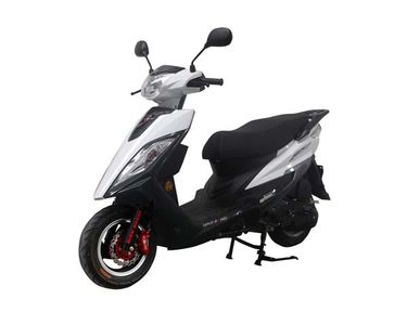 Haojiang HJ100T20Two wheeled motorcycles