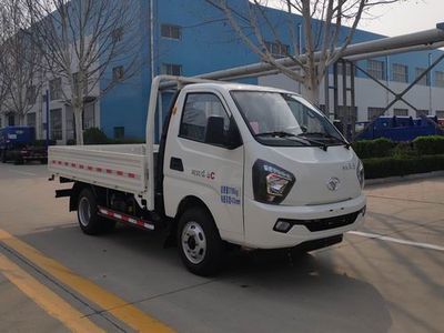 Shifeng SSF1046HDJ44YQTruck