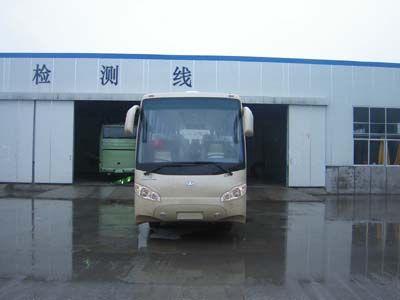 Medium to large  YCK6115HG1 coach