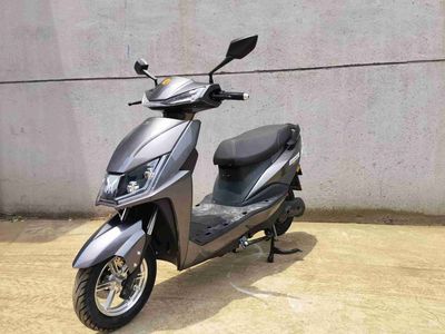 Dengguan  DG500DQT Electric two wheeled light motorcycle