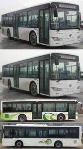 Jinlong  XMQ6106BGD4 City buses