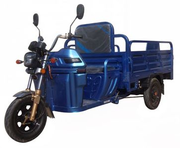 Dajiang  DJ1500DZH10 Electric tricycle