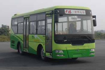 Shaolin  SLG6820C4GFR City buses