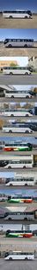 Foton  BJ6126FCEVUHN Fuel cell buses