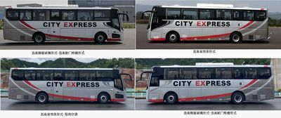 Wanda  WD6117BEVH01 Pure electric city buses