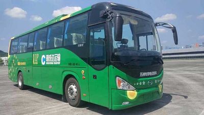 Wuzhoulong  FDG6116EV Pure electric passenger cars