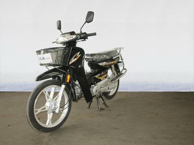 Shuangshi  SS1102A Two wheeled motorcycles