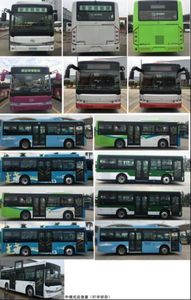 Shenzhou  YH6850GBEV Pure electric city buses