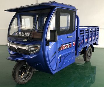 Jinyi  JY1200DZH3 Electric tricycle