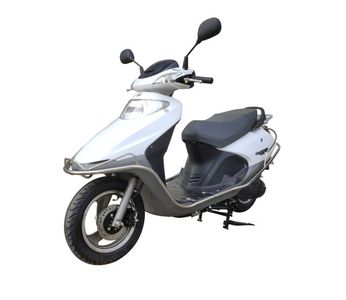 Feiying  FY110T2D Two wheeled motorcycles