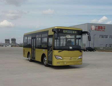 Heilongjiang brand automobile HLJ6851HY City buses