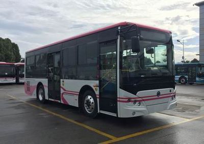 Shenlong brand automobile SLK6929ULE0BEVS1 Pure electric city buses